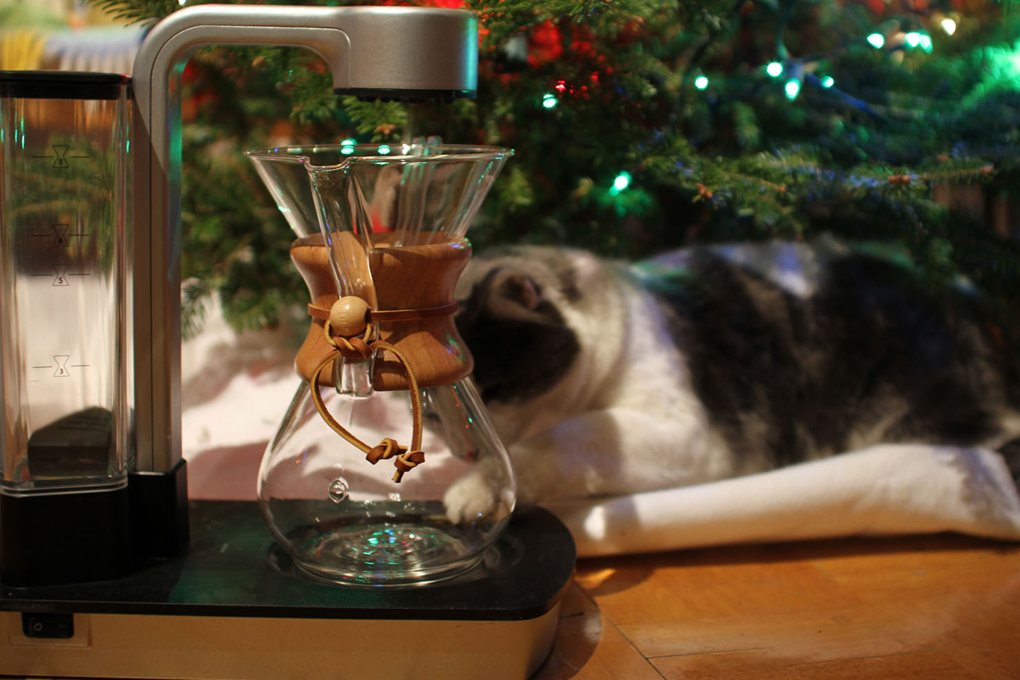 The Best Chemex Coffee Makers for Clean, Aromatic Brews