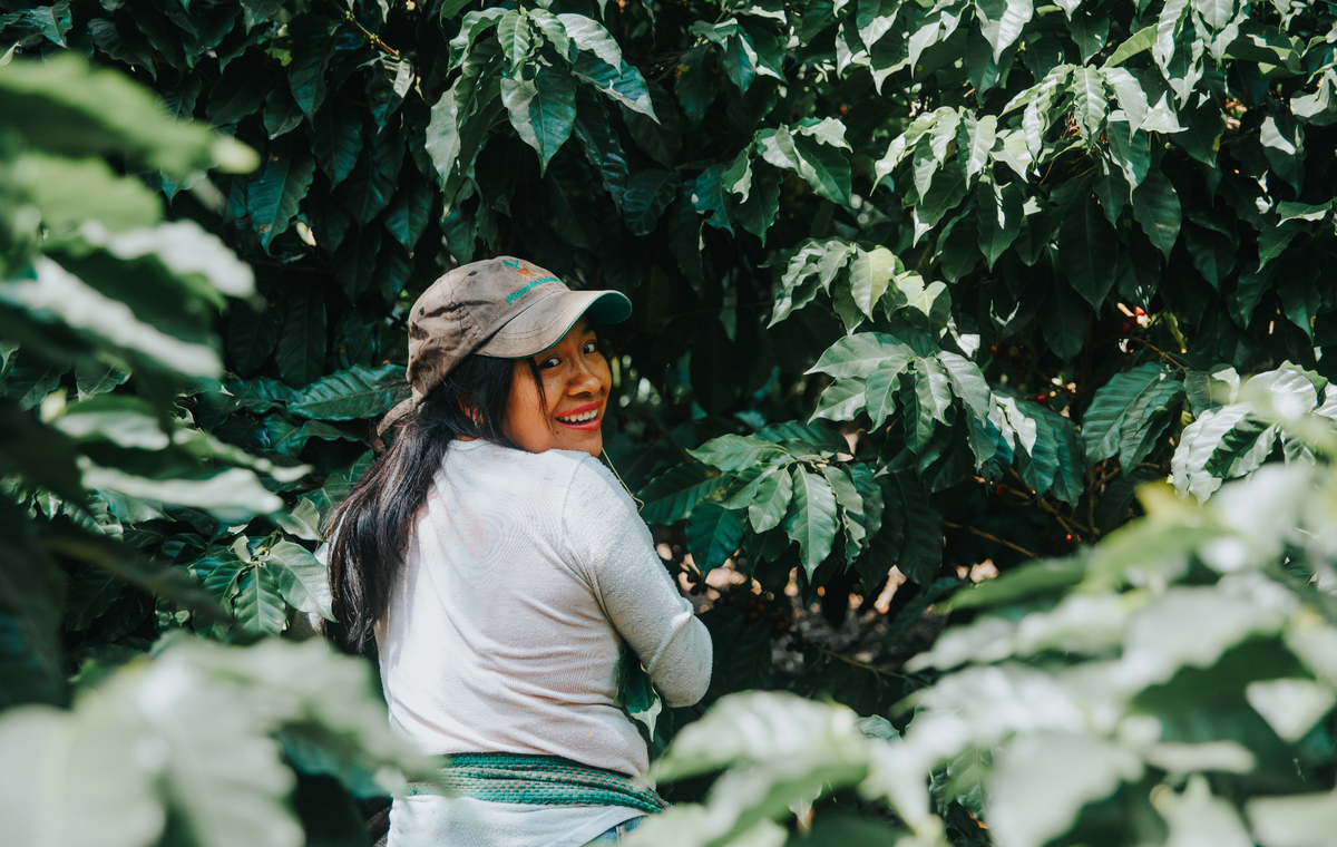 Women's Coffee Alliance sustainable