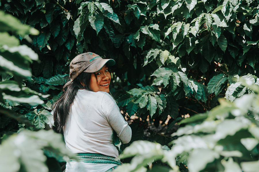 Women's Coffee Alliance sustainable