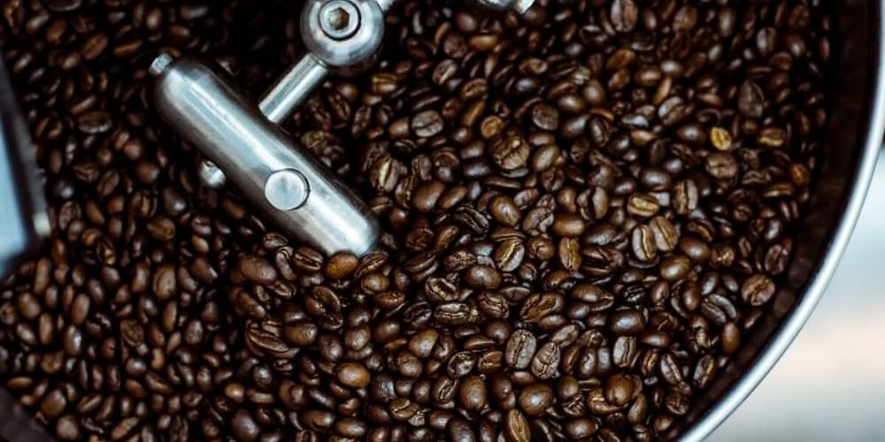 What is the difference between light and dark roast coffees?