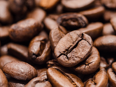 12:08 Coffee Roasters