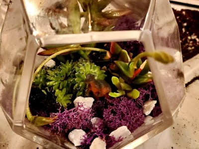 12 Stories by Coffee Experience