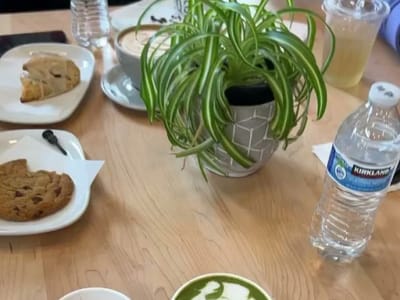 203° Fahrenheit Coffee