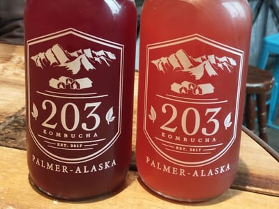 203 Kombucha
