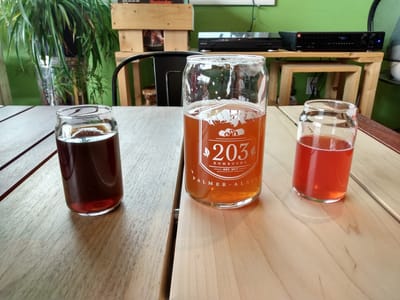 203 Kombucha