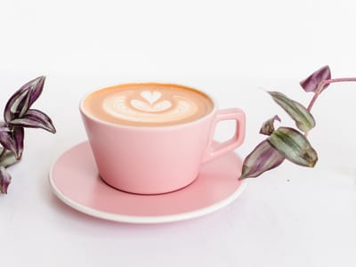 410 Collective + Coffee