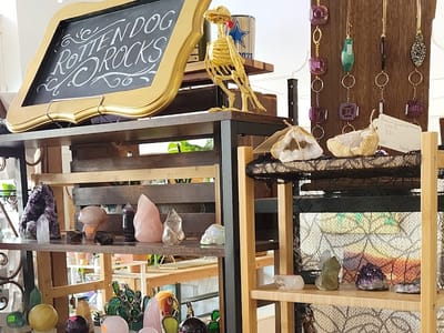 410 Collective + Coffee