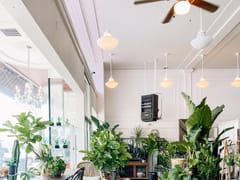 410 Collective + Coffee