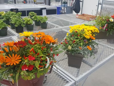 50 East Garden Center & Café