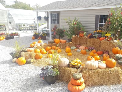 50 East Garden Center & Café