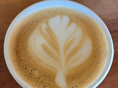 81301 Coffee House and Roasters