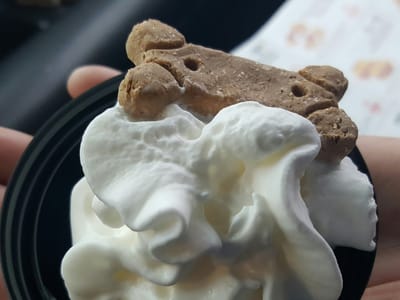 A Hill of Beans Expresso Inc (HOB)