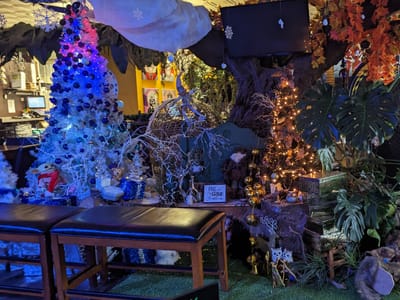 A Walk In The Park Cafe