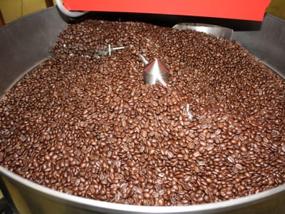 Acadia Coffee Company