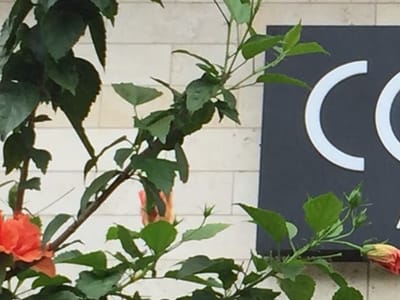 Achilles Art Cafe (Hiawassee)