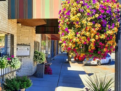 Acorn Saloon & Feeding Station