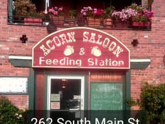 Acorn Saloon & Feeding Station