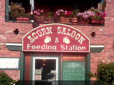 Acorn Saloon & Feeding Station