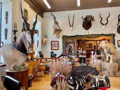 African Oasis Coffee and Tea House