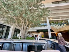 Airship Coffee at The Ledger