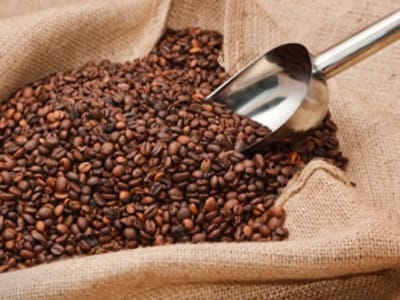 Alabama Roasters LLC