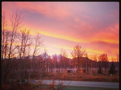 Alaska Artisan Coffee