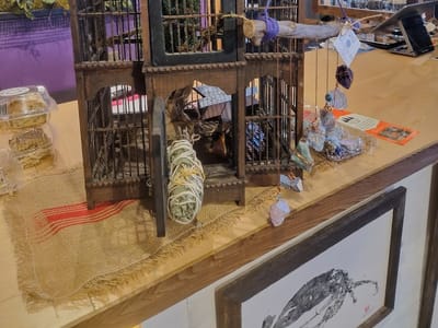 Alder + Co. / Wild Pines Coffee Co.