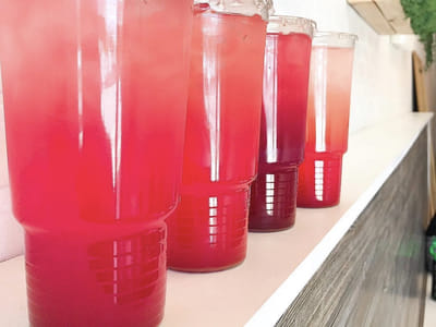 Alexandria Nutrition