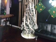 Alexandria nutrition