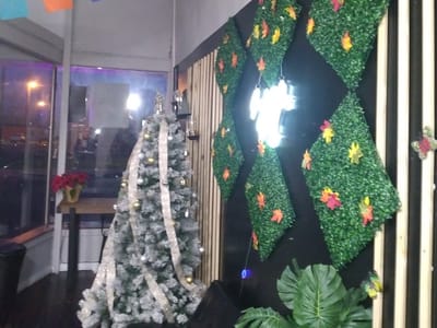 Alexandria nutrition