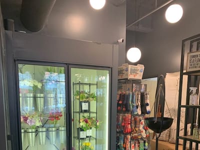 All Tied Up Appleton