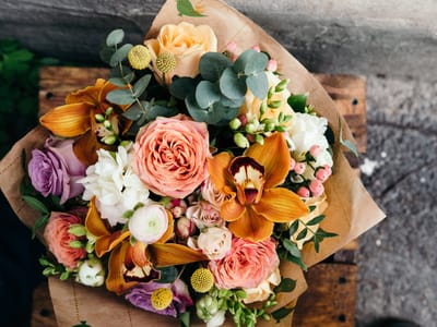 All Tied Up Appleton