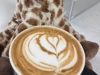 Amanda Lee Coffee - Hicksville, OH