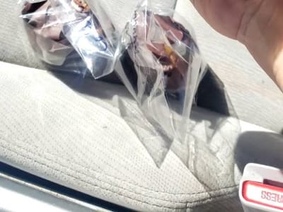 Ambrosia Coffee Roasters