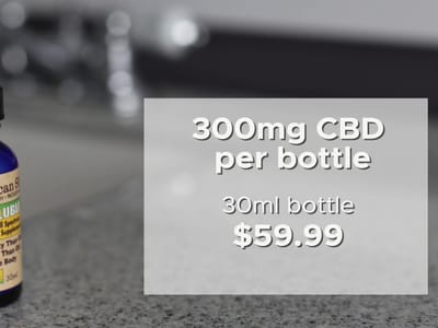 American Shaman Kava Bar