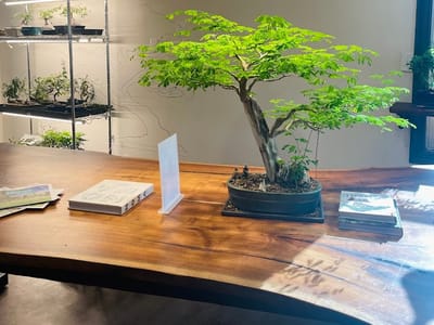 Amsterdam Coffee Bar