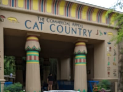 Ancient Grounds Coffee Shop