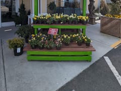 Anderson's Virginia Beach