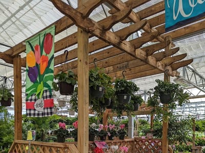 Anderson's Virginia Beach