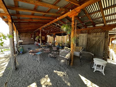 Annie's little sure shot