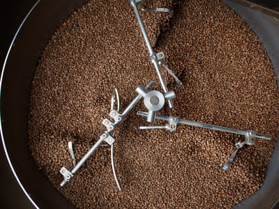 Anodyne Coffee Roasting Co.