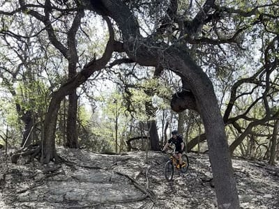 Apollo's Coffee Shop