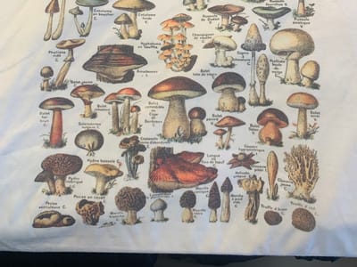 Appalachian Mercantile & Good Coffee