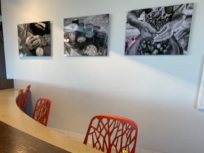 Arbor at First Americans Museum