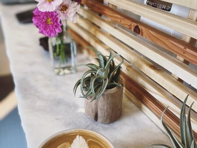 Argonaut Coffee & Biscuits