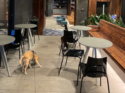 Armistice Coffee Roosevelt