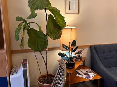 Arriviste Coffee Roasters — Shadyside