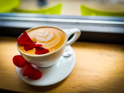 Arriviste Coffee Roasters — Shadyside