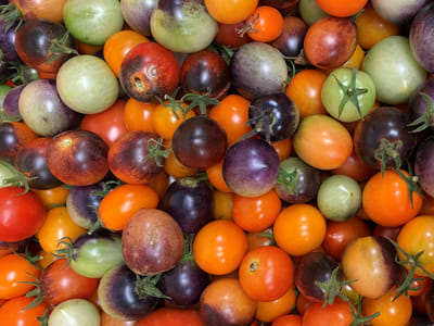 Augustana Dining Services