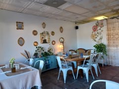 Aurora Vines and Vibes